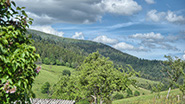 Bauernhof-Ferienwohnung Nonnenmattweiher im sdlichen Schwarzwald