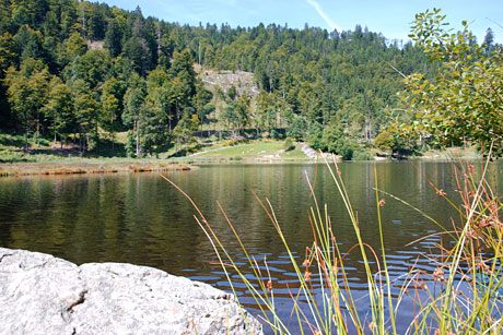 Naturbadesee "Nonnenmattweiher"