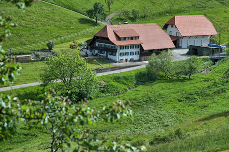 Schwarzwald-Bauernhof Rützler im kleinen Wiesental