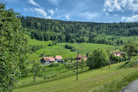 Schwarzwald-Bauernhof Rützler im kleinen Wiesental
