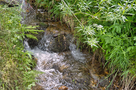 Schwarzwald-Bauernhof Rützler im kleinen Wiesental