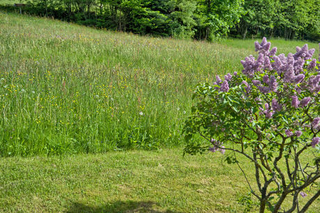 Schwarzwald-Bauernhof Rützler im kleinen Wiesental