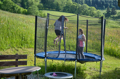 Schwarzwald-Bauernhof Rützler im kleinen Wiesental