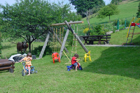 Schwarzwald-Bauernhof Rützler im kleinen Wiesental