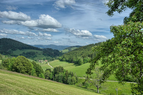 Schwarzwald-Bauernhof Rützler im kleinen Wiesental